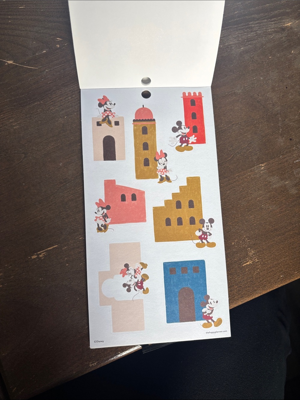 Disney Oasis Adventure Sticker Pack-The Happy Planner - Picture 6 of 6